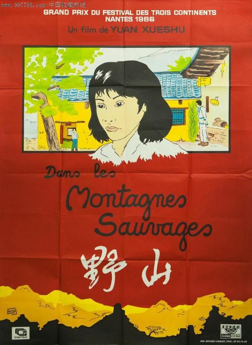 怎么买假的台湾护照模板